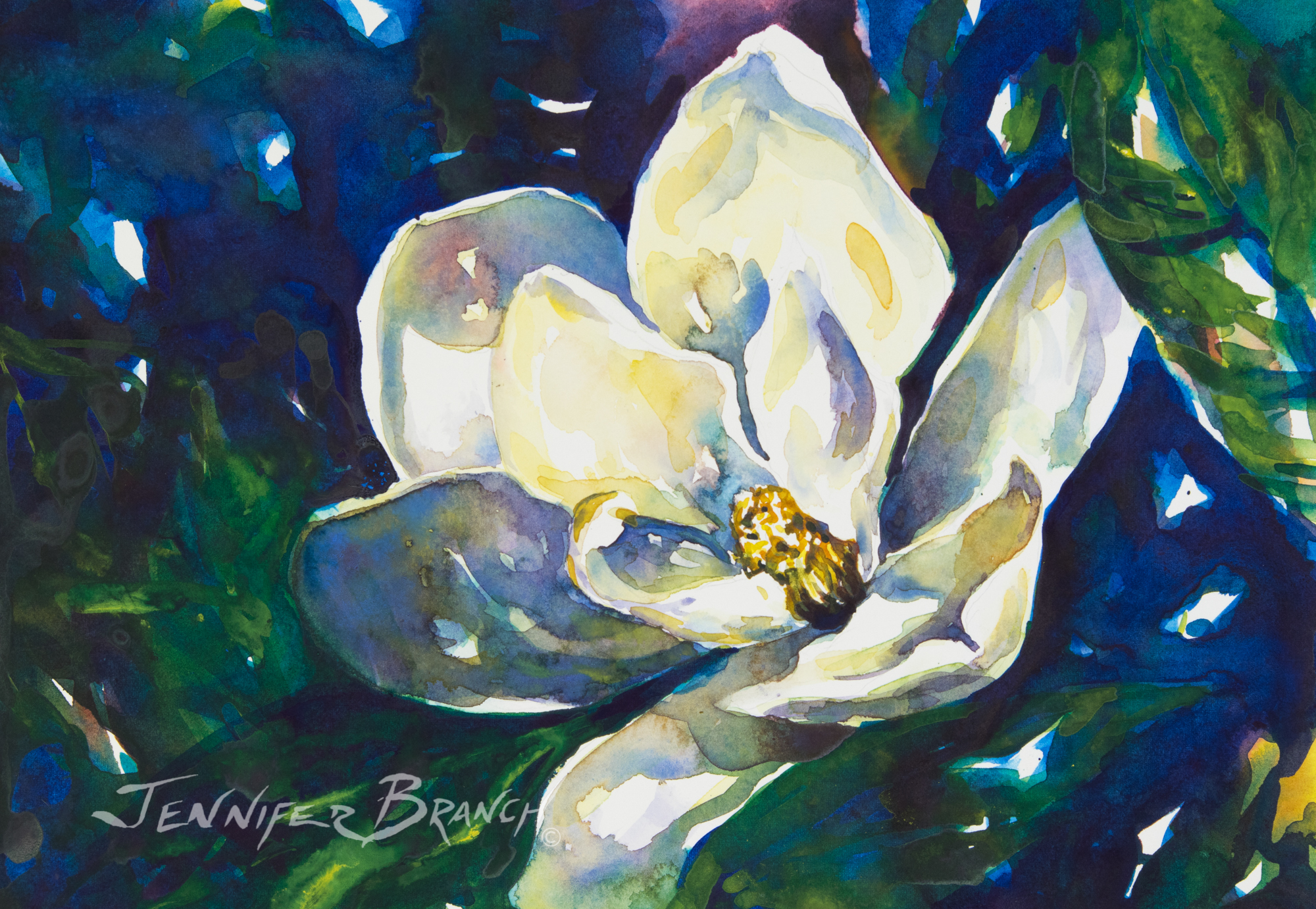 Magnolia